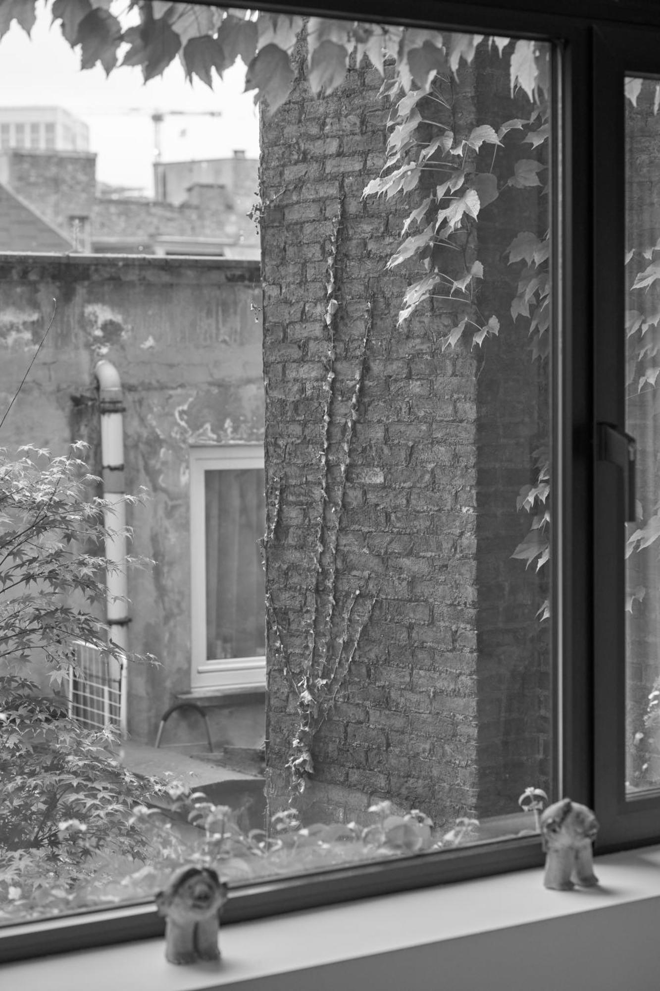 Teddy Picker * Bruxelles