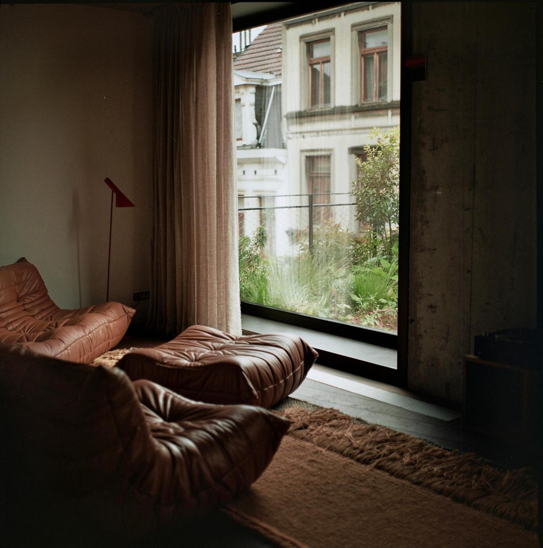Teddy Picker * Bruselas